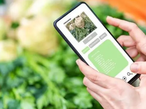 防偽標(biāo)簽定制服務(wù)，讓您的品牌更出眾